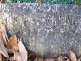 image of grave number 504825